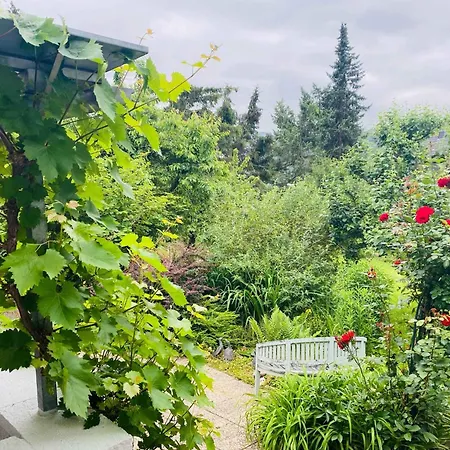 Apartamento In 51101 Kamp-Bornhofen