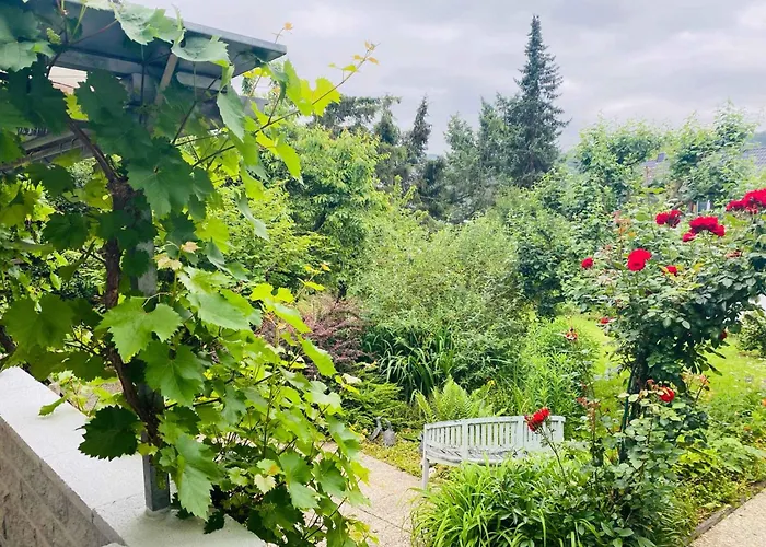 Apartamento In 51101 Kamp-Bornhofen